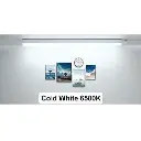 Lights-Colour White 6500K.webp
