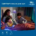 Philips AceBright LED Bulb 12W c.webp