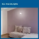 Philips AceBright LED Bulb 12W b.webp