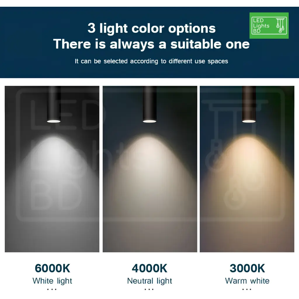 Spot Light CCT Chart.webp
