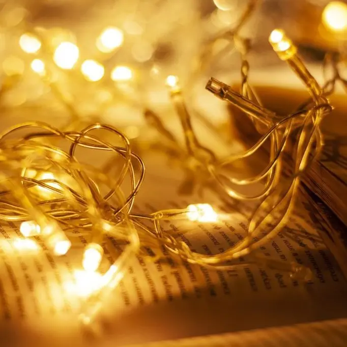 LED String Light One Color.webp