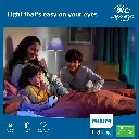 Philips AceBright LED Bulb 12W 0.webp