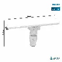 Philips 10W Stellar Bright T-Bulb 2.webp