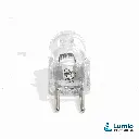 24V 50W G6.35 halogen capsule bulb China 2.webp