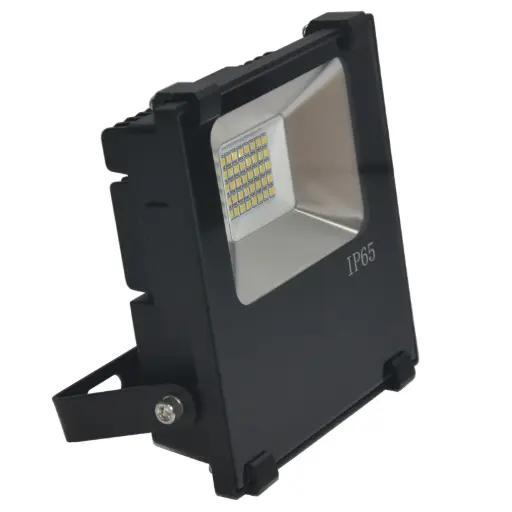 10W LED Flood Light (SMD)